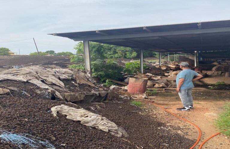 Abandoned cashew shell waste