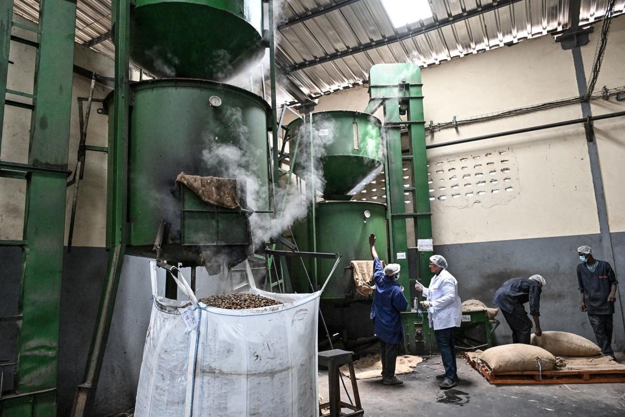 Cashew steaming plant