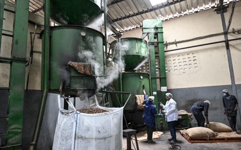 Cashew processing line