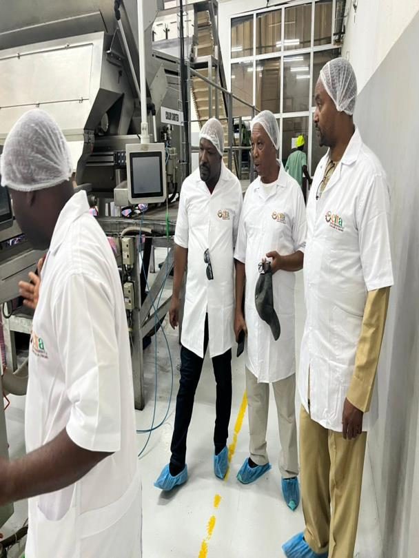 Team visiting a cashew factory