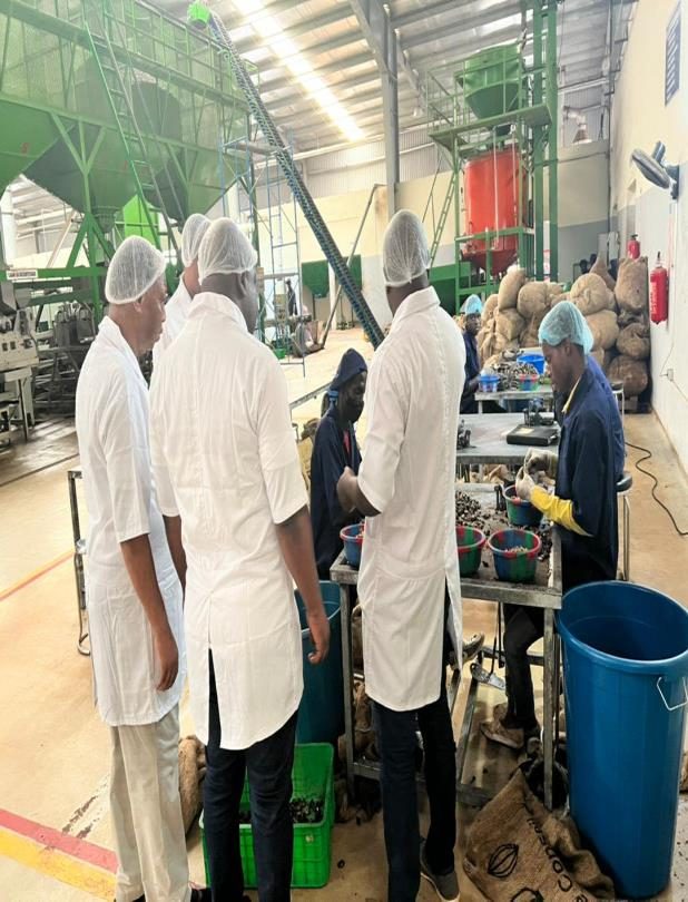 Cashew processing line