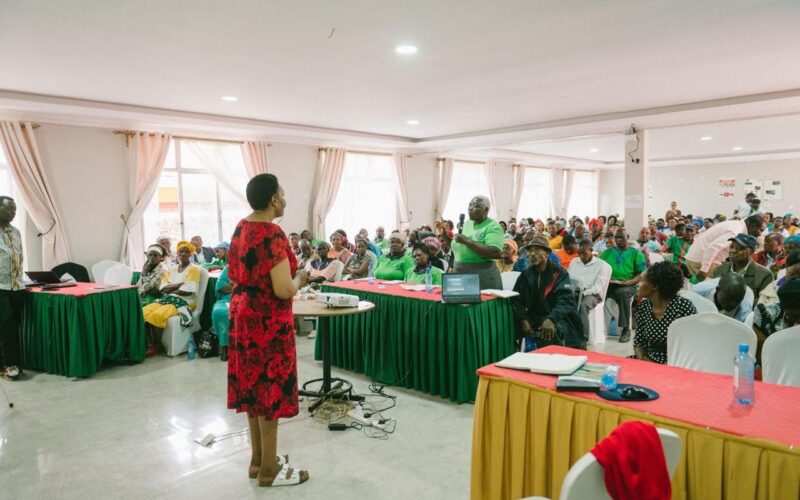 Training and capacity building